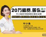 叶小鱼21天短视频文案拆书营，学完轻松搞定各类书单短视频文案-16888副业资讯