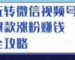 玩转微信视频号爆款涨粉赚钱全攻略，让你快速抓住流量风口，收获红利财富-16888副业资讯