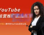 外国人眼中的YouTube该怎么玩？Elisa·YouTube运营推广实战技巧-16888副业资讯