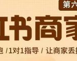贾真-小红书商家营第6期商家版，21天带货陪跑课，让商家丢掉付流量-16888副业资讯