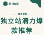 【跨境B哥】独立站潜力爆款选品推荐，测款出单率高达百分之80-16888副业资讯