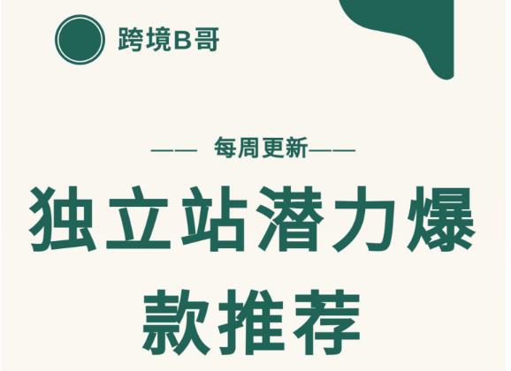 【跨境B哥】独立站潜力爆款选品推荐，测款出单率高达百分之80-16888副业资讯