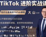 大山老师TikTok进阶实战课：账号详解，流量运营，实战变现，助力你成功出海-16888副业资讯