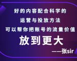 张sir账号流量增长课,告别海王流量,让你的流量更精准-16888副业资讯