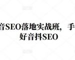 王通·抖音SEO落地实战班,手手带你做好音抖SEO-16888副业资讯
