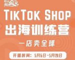 疯人院:TikTok Shop出海训练营(一店卖全球),出海抢占全球新流量-16888副业资讯