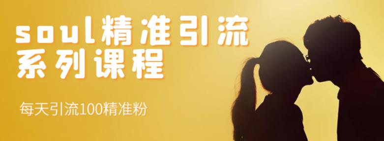 soul精准引流系列课程，每天引流100精准粉-16888副业资讯