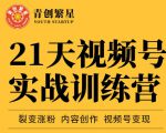 张萌21天视频号实战训练营,裂变涨粉、内容创作、视频号变现 价值298元-16888副业资讯
