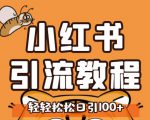 小红书运营引流全系列课程，每天引流100精准粉-16888副业资讯