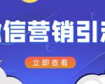 微信营销策划引流系列课程，每天引流100精准粉-16888副业资讯