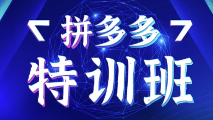 星雪教育·拼多多基础班+进阶班+突破班，用系统的学习模式快速改变现状价值3580元-16888副业资讯