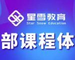 星雪教育淘系高级班，更全的运营提升方案，零基础由浅入深，店铺最新玩法-16888副业资讯