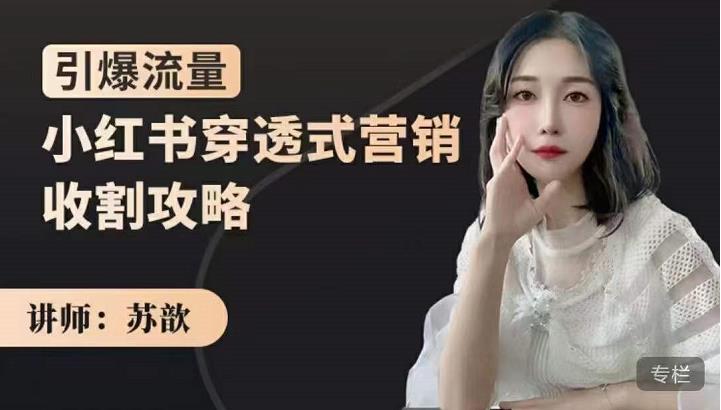 苏歆：小红书穿透式营销收割攻略，引爆流量，助你玩转小红书-16888副业资讯