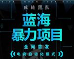 引流哥蓝海暴力躺赚项目：无需发圈无需引流无需售后，每单赚50-500（教程+线报群)-16888副业资讯