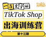 TikTokShop出海训练营（第十三期），打开全球流量新思维，出海抢占全球新流量，一店卖全球-16888副业资讯