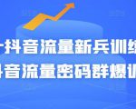 Peter抖音流量新兵训练营-破解抖音流量密码群爆训练营（新兵）-16888副业资讯