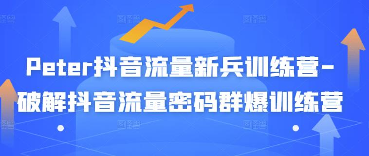 Peter抖音流量新兵训练营-破解抖音流量密码群爆训练营（新兵）-16888副业资讯