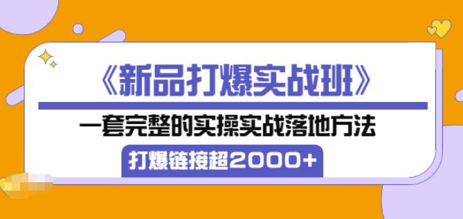 凌童《新品打爆实战班》,一套完整的实操实战落地方法，打爆链接超2000+（28节课)-16888副业资讯