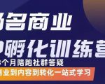 杨名商业IP孵化训练营,从商业到内容到转化一站式学 价值5980元-16888副业资讯