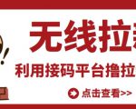 最新接码无限拉新项目,利用接码平台赚拉新平台差价,轻松日赚500+-16888副业资讯