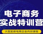 民赛电气内部出品:电子商务实战特训营,全方位带你入门电商,308种方式玩转电商-16888副业资讯