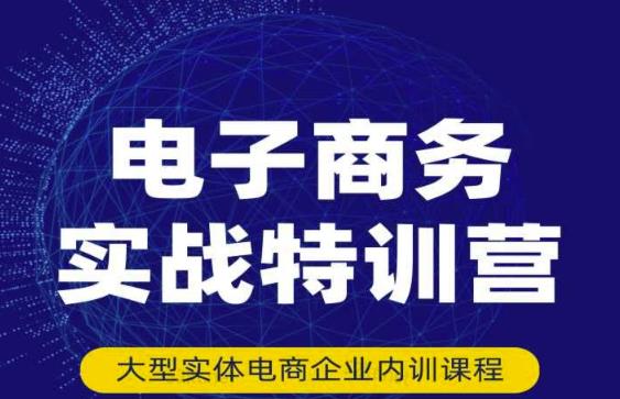 民赛电气内部出品：电子商务实战特训营，全方位带你入门电商，308种方式玩转电商-16888副业资讯