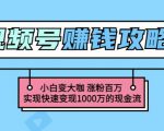 玩转微信视频号赚钱:小白变大咖涨粉百万实现快速变现1000万的现金流-16888副业资讯