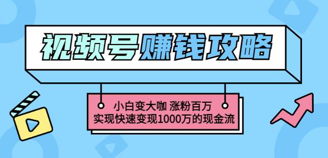 玩转微信视频号赚钱：小白变大咖涨粉百万实现快速变现1000万的现金流-16888副业资讯