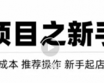 虚拟项目快速起店模式，0成本打造月入几万虚拟店铺！-16888副业资讯