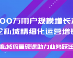 8000万用户规模增长方法论私域精细化运营增长，私域流量硬课助力业务跃迁-16888副业资讯