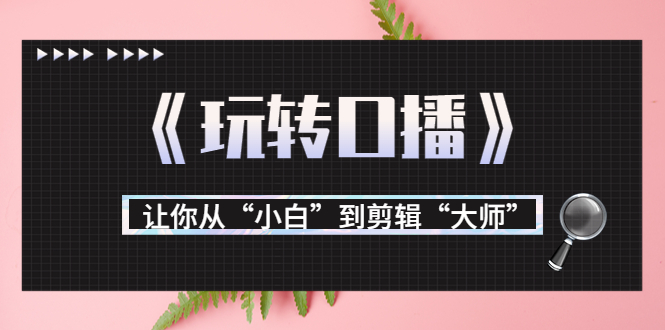 月营业额700万+大佬教您《玩转口播》让你从“小白”到剪辑“大师”-16888副业资讯