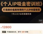 个人IP吸金密训班，打造高价值高效率的个人IP内容体系（价值12800元）-16888副业资讯