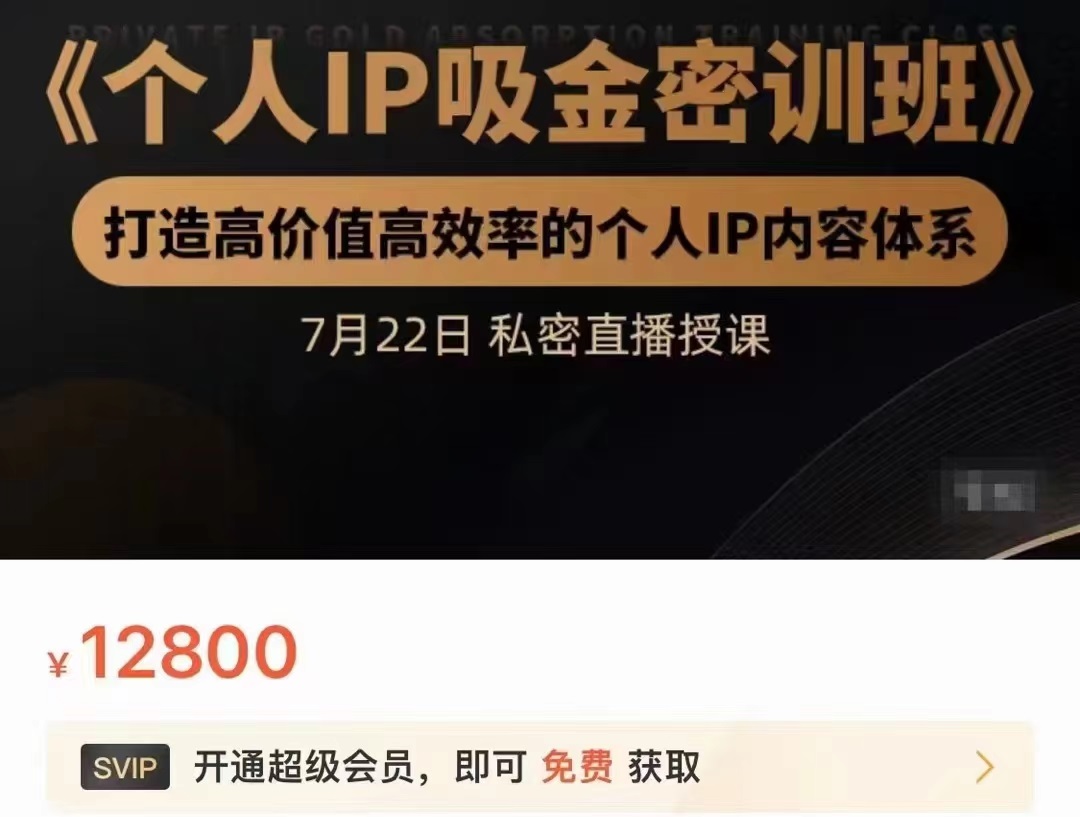 个人IP吸金密训班，打造高价值高效率的个人IP内容体系（价值12800元）-16888副业资讯
