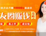 全网千万人气导师亲授：零基础/易上手的朋友圈赚钱攻略，让你轻松月入过万-16888副业资讯