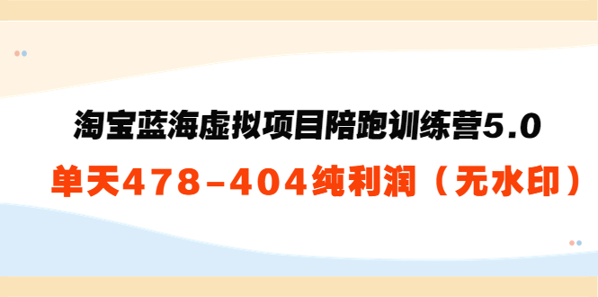 淘宝蓝海虚拟项目陪跑训练营5.0：单天478纯利润-16888副业资讯