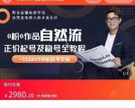 0粉0作品自然流正价起号及稳号全教程,专业自然流起号机构流程化教学(价值2980元)-16888副业资讯