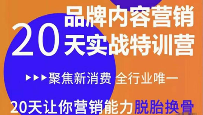 《内容营销实操特训营》20天让你营销能力脱胎换骨（价值3999）-16888副业资讯