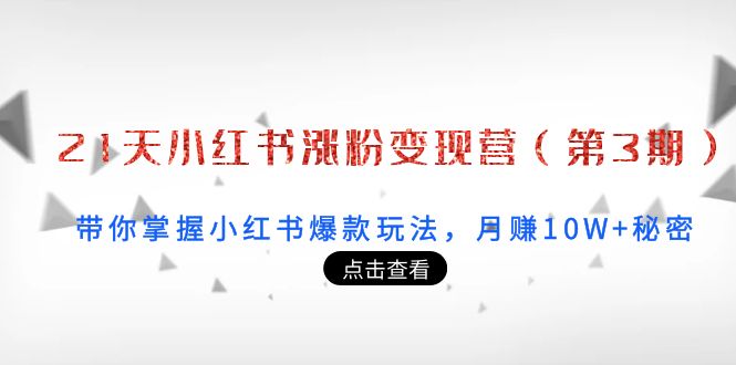 21天小红书涨粉变现营（第3期）：带你掌握小红书爆款玩法，月赚10W+秘密-16888副业资讯