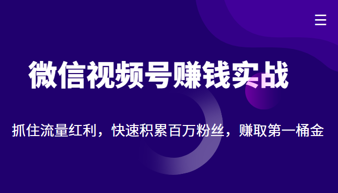 微信视频号赚钱实战：抓住流量红利，快速积累百万粉丝，赚取你的第一桶金-16888副业资讯