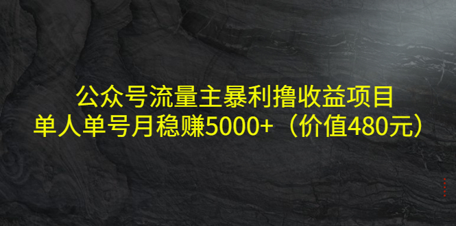 公众号流量主暴利撸收益项目，单人单号月稳赚5000+（价值480元）-16888副业资讯