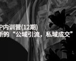 新媒体IP内训营(12期),一套全新的“公域引流,私域成交”IP打法,直接带走-16888副业资讯