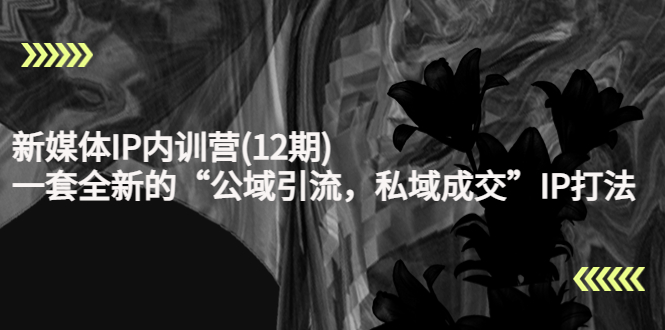 新媒体IP内训营(12期)，一套全新的“公域引流，私域成交”IP打法，直接带走-16888副业资讯