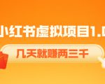 《小红书虚拟项目1.0》账号注册+养号+视频制作+引流+变现，几天就赚两三千-16888副业资讯