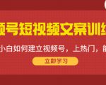 视频号短视频文案训练营：0基础小白如何建立视频号，上热门，能卖货！-16888副业资讯