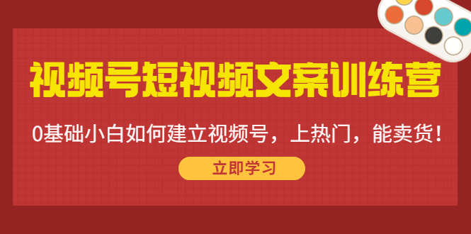 视频号短视频文案训练营：0基础小白如何建立视频号，上热门，能卖货！-16888副业资讯