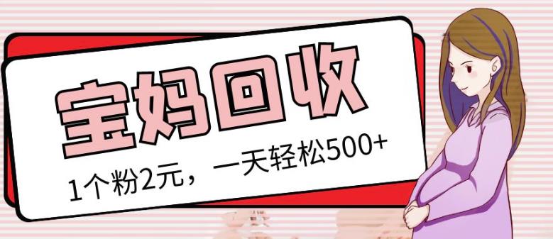 最新小红书母婴号宝妈粉回收项目，1个粉2元，一天轻松500+案例分享【粉丝包回收】-16888副业资讯