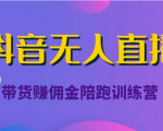 抖音无人直播带货赚佣金陪跑训练营（价值6980元）-16888副业资讯
