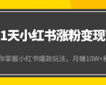 21天小红书涨粉变现营（第4期）：带你掌握小红书爆款玩法，月赚10W+秘密-16888副业资讯
