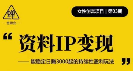 资料IP变现，能稳定日赚3000起的持续性盈利玩法-16888副业资讯