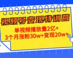 21天视频号变现特训营:单视频播放量2亿+3个月涨粉30w+变现20w+(第14期)-16888副业资讯
